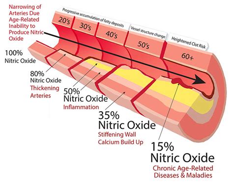 Nitric oxide production